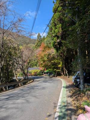 251114-駐車場から環境芸術の森方面を臨む.jpg