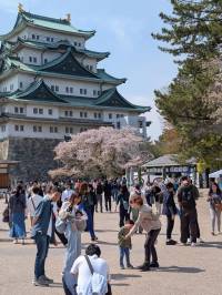 250412-名古屋城_天守閣を望む.jpg 250412-名古屋城_天守閣を望む.jpg