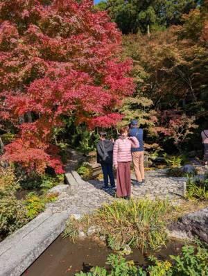 251114-環境芸術の森の庭園にて真理.jpg 251114-環境芸術の森の庭園にて真理.jpg