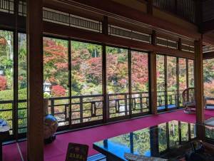 251114-環境芸術の森_山荘から庭園を臨む.jpg 251114-環境芸術の森_山荘から庭園を臨む.jpg