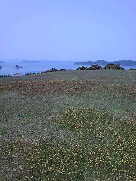 20130428103805 20130428103805