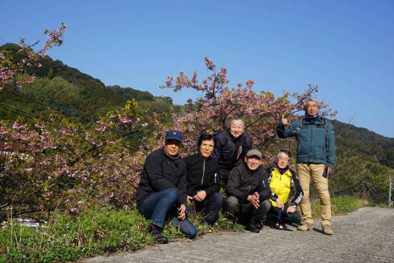 250322-福吉の河津桜_集合.jpg 250322-福吉の河津桜_集合.jpg
