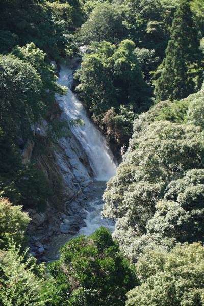230717-水量豊富の観音の滝.jpg 230717-水量豊富の観音の滝.jpg