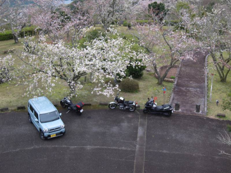 240331-大山展望台_3.jpg 240331-大山展望台_3.jpg