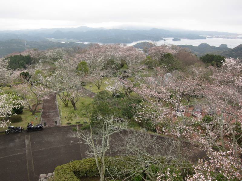 240331-大山展望台_2.jpg 240331-大山展望台_2.jpg