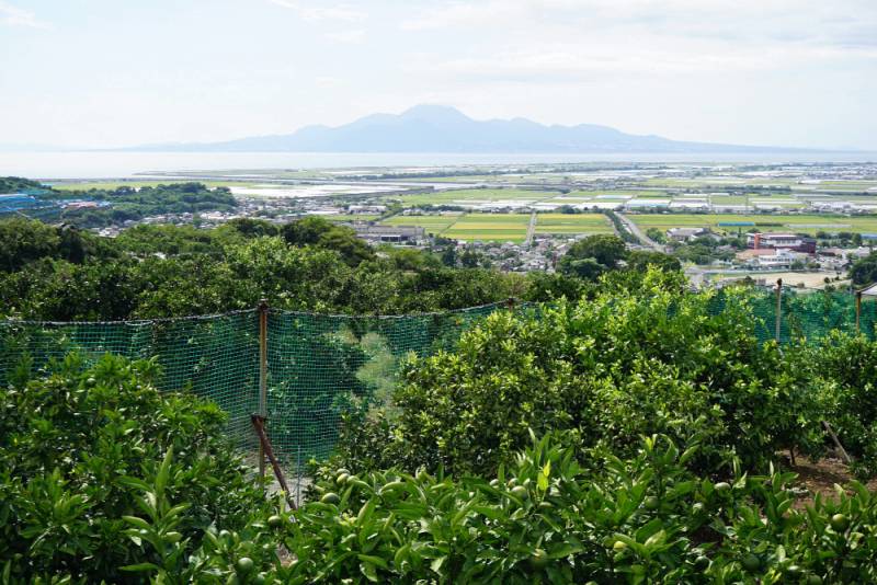 240923-玉名広域農道展望所からの風景.jpg 240923-玉名広域農道展望所からの風景.jpg