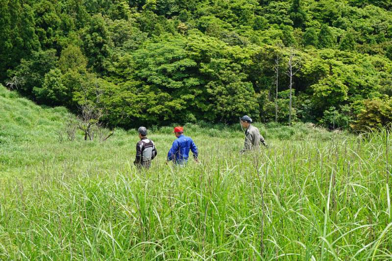230527-川内峠_丘の上から2.jpg 230527-川内峠_丘の上から2.jpg