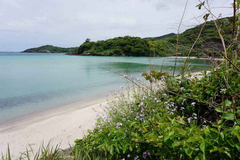 240511-根獅子海水浴場_風景.jpg 240511-根獅子海水浴場_風景.jpg