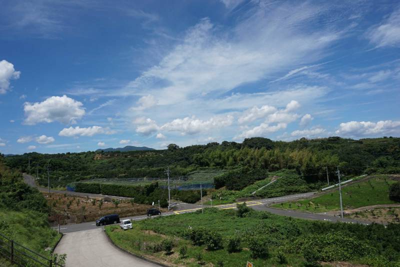230717-海道しるべから見える景色_陸側_.jpg 230717-海道しるべから見える景色_陸側_.jpg