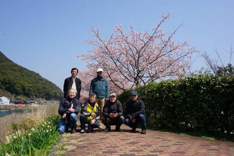 250322-佐々河津桜_集合.jpg 250322-佐々河津桜_集合.jpg