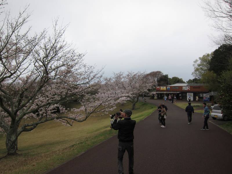 240331-鏡山_2.jpg 240331-鏡山_2.jpg