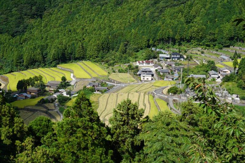 251005-岳棚田.jpg 251005-岳棚田.jpg