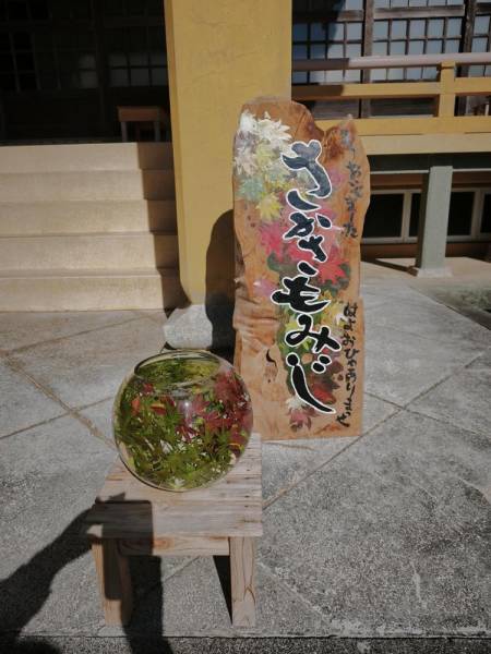 251116-福寿寺さかさ紅葉の案内板.jpg 251116-福寿寺さかさ紅葉の案内板.jpg