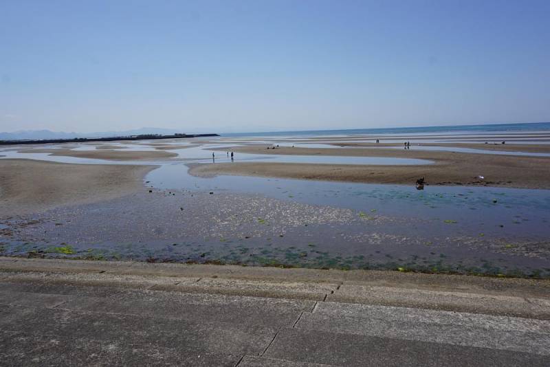 250429-7_真玉海岸_潮干狩り風景.jpg 250429-7_真玉海岸_潮干狩り風景.jpg