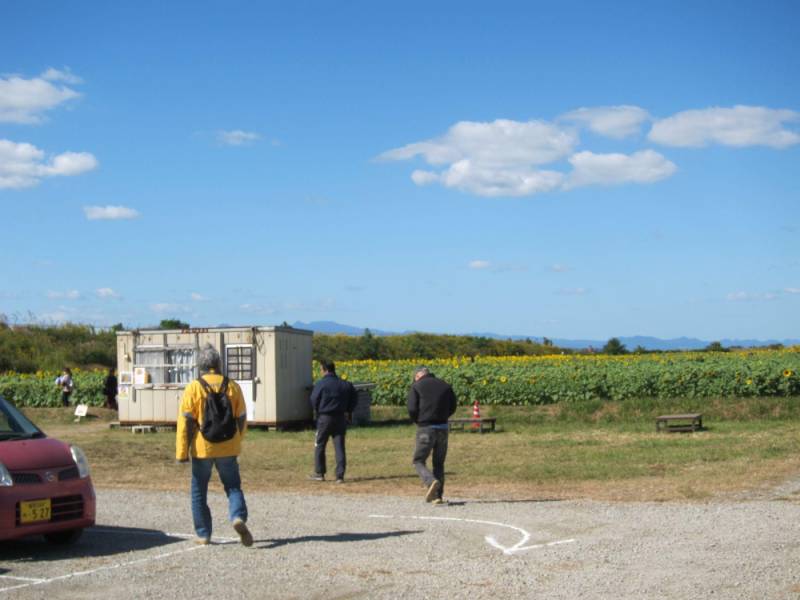 231021-大牟田ひまわり園1.jpg 231021-大牟田ひまわり園1.jpg