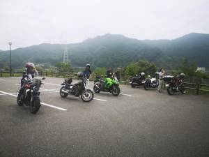 富士しゃくなげの里