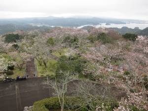 240331-大山展望台_2.jpg