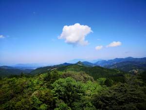 240504-花見ヶ岩公園からの眺望.jpg
