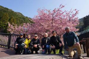 250322-伊岐佐川沿い河津桜_集合.jpg