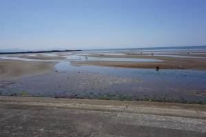 250429-7_真玉海岸_潮干狩り風景.jpg
