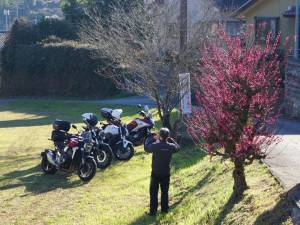 240217_バイクat谷川梅林.jpg 240217_バイクat谷川梅林.jpg