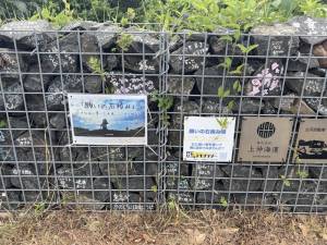 260725-大バエ岬の願いの石積み.jpg 260725-大バエ岬の願いの石積み.jpg