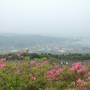 160423-不老山ツツジ公園_山頂展望台からの景色.jpg