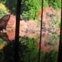 181110-環境芸術の森の風遊山荘内から紅葉を観る.jpg