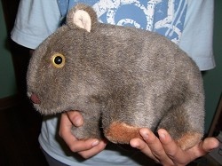 wombatr